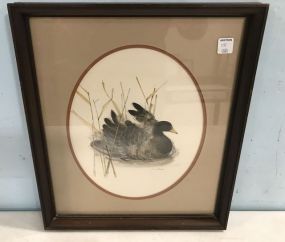 Mallard Duck Print Signed