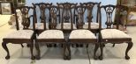 Seven  Chippendale Reproduction Dinning Chairs