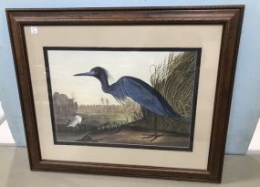Stork Lithograph Framed Print