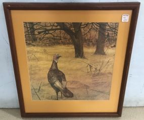 Wild Turkey Print by Ken Darnes