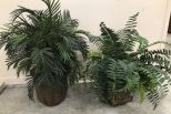 Two Artificial Plants in Pot