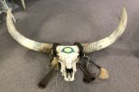 Old Texas Longhorn Skull