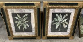 Paragon Picture Gallery Pair of Banana Palm I Prints
