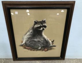 Raccoon Lithograph signed Charles Fraci