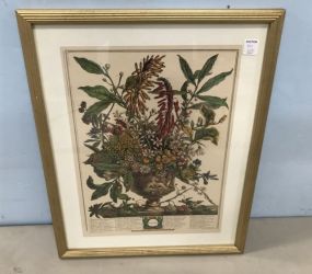 January Botanical Print