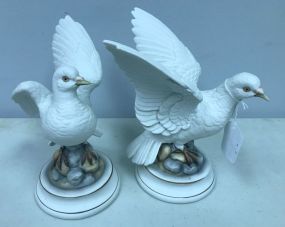 Pair of White Doves by Andrea