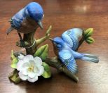 Pair of Blue Birds on a Tree