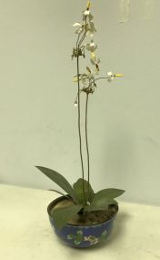 Cloisonne Flower Pot w/ Flowers