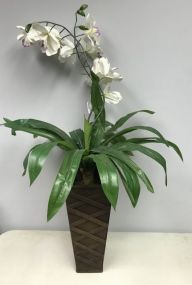 Artificial Plant in Wood Planter