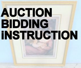 Auction Bidding Instruction