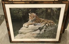 Jaguar on the Rock Poster