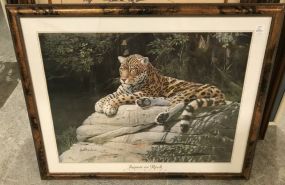 Jaguar on the Rock Poster