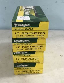 Remington Express Rifle 17 cal.