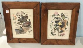 Pair of Arthur Singer Bird Prints