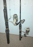 Bass Pro Pq1000 and Daiwa Regal 3500