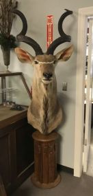 African Kudu Grey Ghost Mount on Pedestal