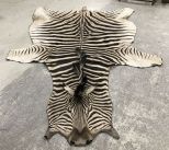 African Zebra Rug