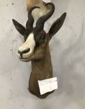 Black Springbuck Mount