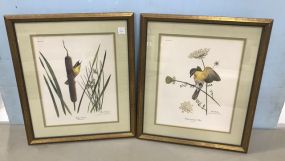 Pair of Ray Harm Signed Lithographs