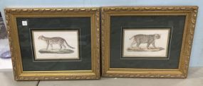 Two Gold Gilt Cat Prints