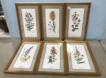 Six Gold Gilt Framed Ray Harm Bird Lithographs