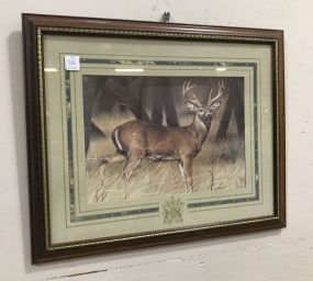 White Tail Deer Print