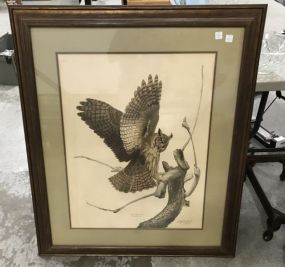 Large Owl Signed Print by Guy Coheleach