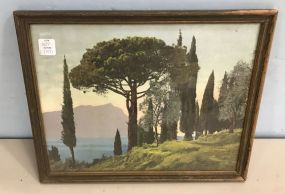 Vintage Print of Trees
