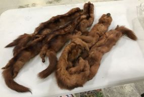 Collection of Three Minks
