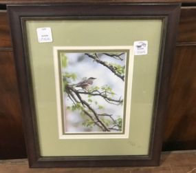 Framed Photograph of Bird