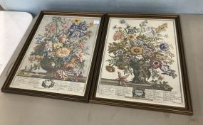 Pair of Vintage Botanical Prints