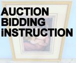 Auctions Bidding Instruction