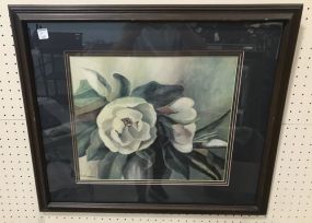 Framed Magnolia Framed Print