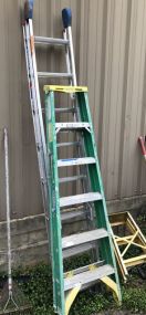 Two Werner Ladders