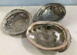 Three Large Abalone Shells