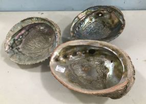 Three Large Abalone Shells