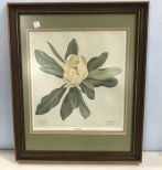 Signed Magnolia Framed Print