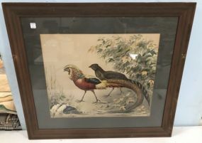 Pheasant Print by Conrad Roland