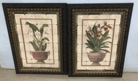 Pair of Framed Floral Decorative Prints
