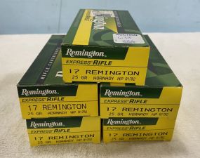 Remington Express Rifle 17 Rem 25 grain Hornady HP