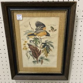 Bird Print by Arthur Singer