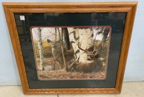 Kevin Daniel Whitetail Deer Print