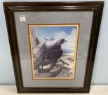 Roger Tory Peterson Eagle Print