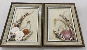 Pair of Decorative Sea Shell Frames