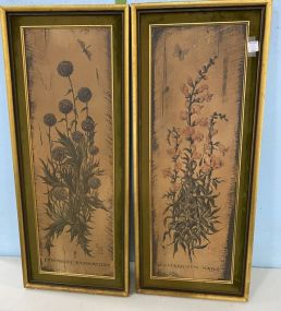 Echinops Bannaticus and Antirrhinum Majus Vintage Prints