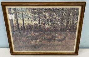 The American Wild Turkey Print
