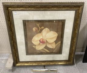 Large Decorative Lily Flower Print