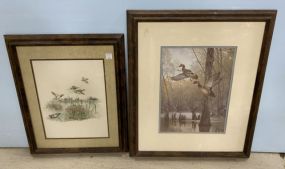 Two Framed Duck Prints