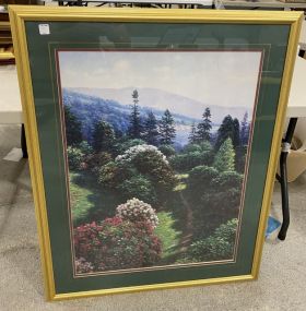 Mountain Landscape Framed Print