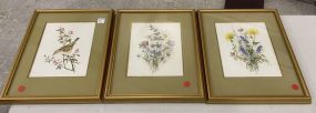 Three Gold Framed Prints